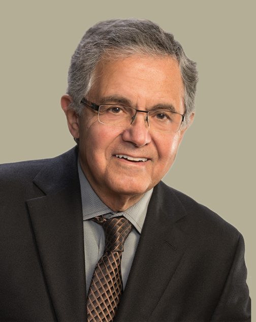 Nady el-Guebaly