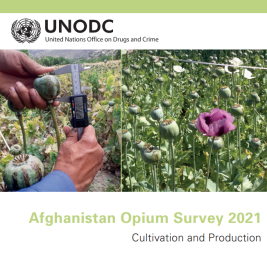 UNODC opium