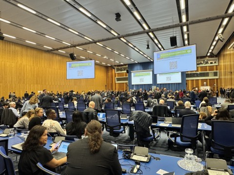 Pemandangan ruang pleno di Komisi Narkotika ke-68 di Wina, Austria, pada 14 Maret 2025.