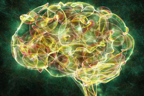 Mehau Kulyk/Science Photo Library/Getty Images