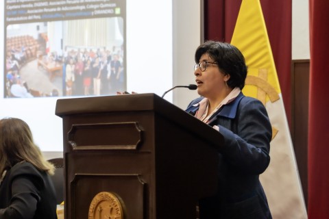 Conferencia Perú