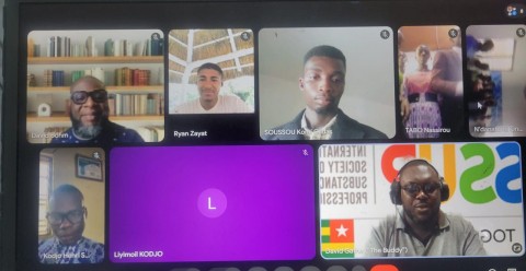 Screenshot of Virtual Meeting