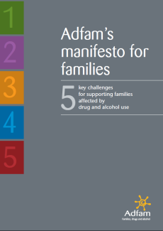 Manifesto for families