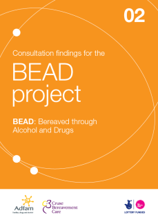 Bereaved through Alcohol and Drugs (BEAD) 