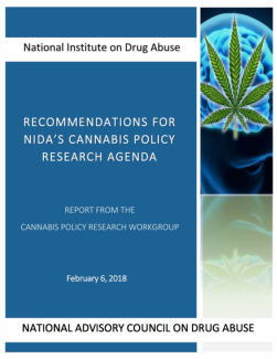Recommendations for NIDA's Cannabis Policy Research Agenda 