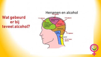 Damage about alcohol in the brain