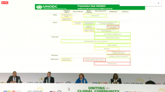 Drug Policy - Sub Plenary