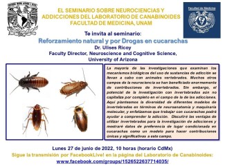 seminario virtual “Reforzamiento natural y por drogas en cucarachas”