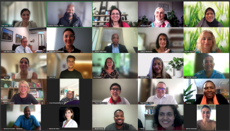 IEP Pilot Group