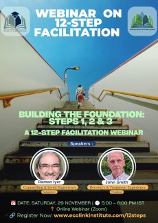 webinar on 12 steps from www.ecolinkinstitute.com/12steps