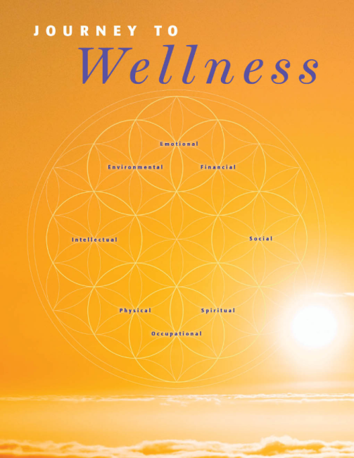 Journey to Wellness Guide | International Society of Substance Use ...