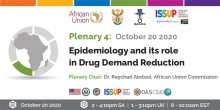 Plenary 4 - Africa Virtual Conference 2020