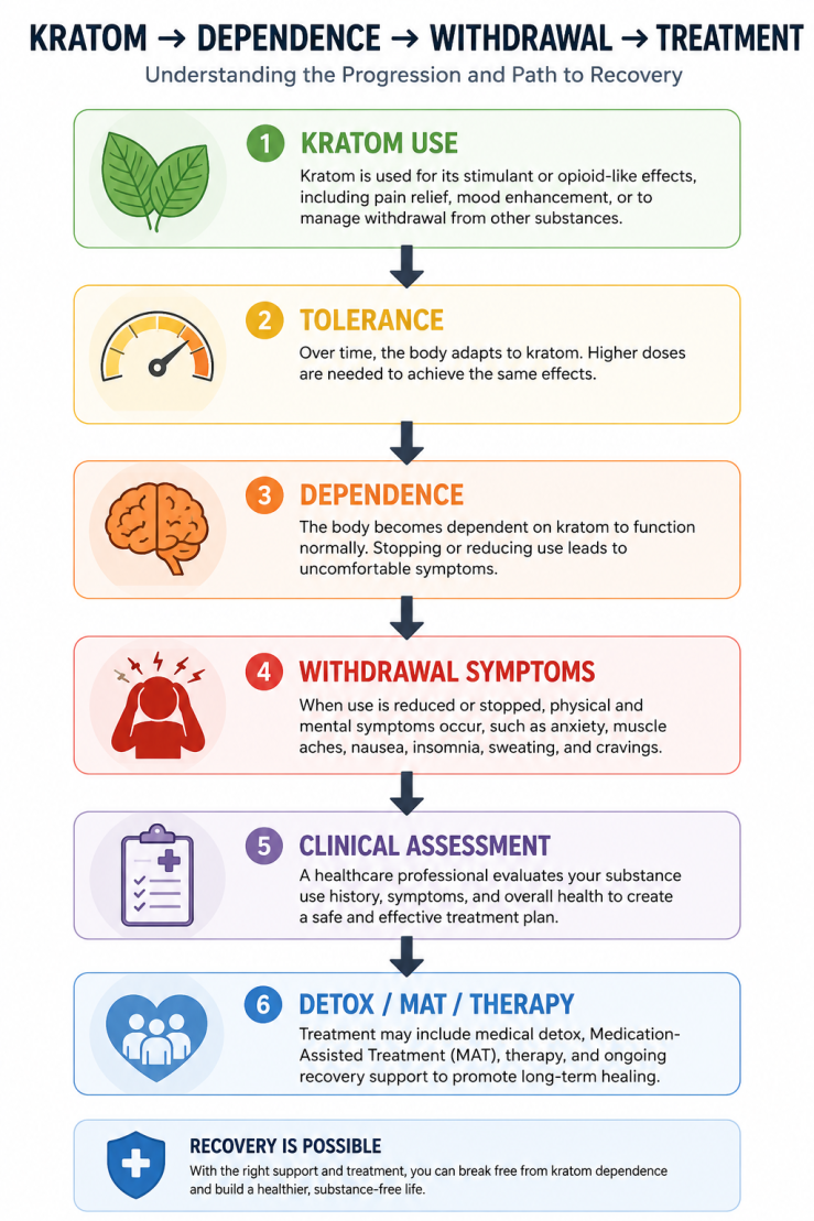 Alt text: Infographic showing the progression from kratom use to tolerance, dependence, withdrawal symptoms, clinical assessment, and treatment, ending with a message that recovery is possible with appropriate support and care.